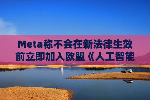 Meta称不会在新法律生效前立即加入欧盟《人工智能公约》  第1张