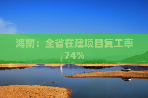 海南：全省在建项目复工率74%