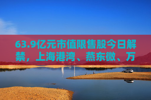 63.9亿元市值限售股今日解禁，上海港湾、燕东微、万事利解禁市值居前