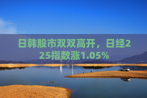 日韩股市双双高开，日经225指数涨1.05%  第1张