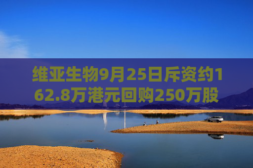 维亚生物9月25日斥资约162.8万港元回购250万股  第1张