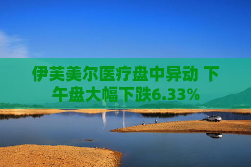 伊芙美尔医疗盘中异动 下午盘大幅下跌6.33%  第1张