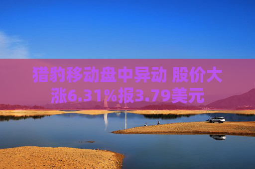 猎豹移动盘中异动 股价大涨6.31%报3.79美元  第1张