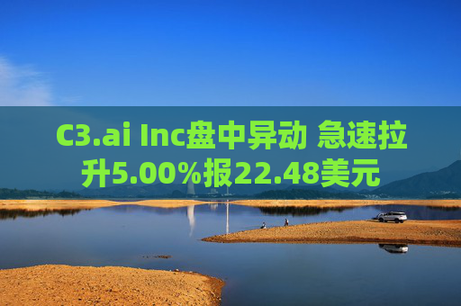 C3.ai Inc盘中异动 急速拉升5.00%报22.48美元