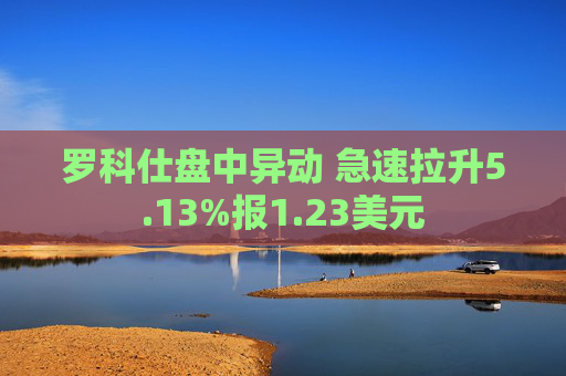 罗科仕盘中异动 急速拉升5.13%报1.23美元  第1张