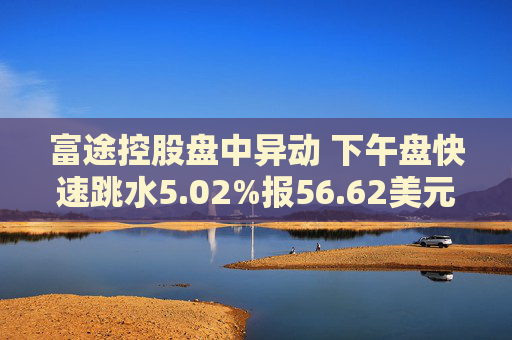 富途控股盘中异动 下午盘快速跳水5.02%报56.62美元