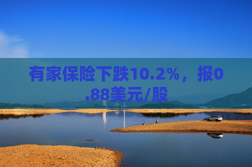 有家保险下跌10.2%，报0.88美元/股