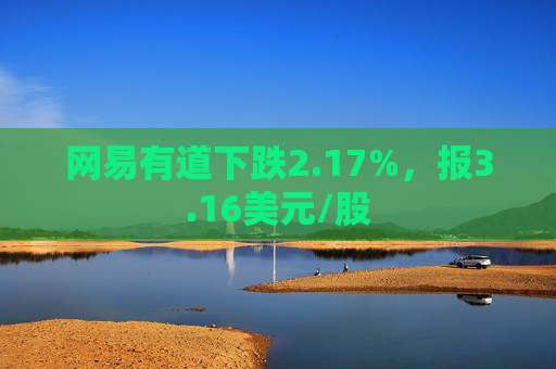 网易有道下跌2.17%，报3.16美元/股  第1张