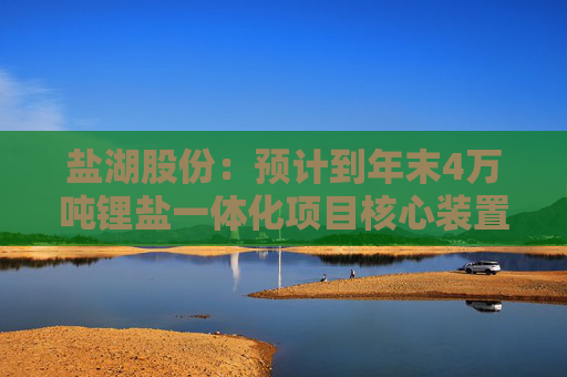 盐湖股份：预计到年末4万吨锂盐一体化项目核心装置将建成  第1张