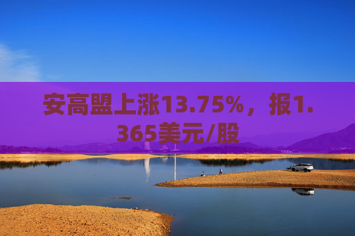 安高盟上涨13.75%，报1.365美元/股