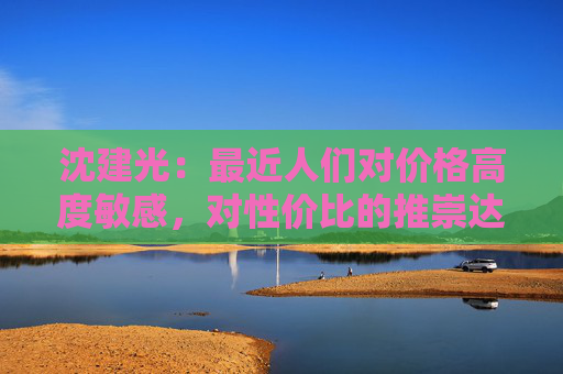 沈建光：最近人们对价格高度敏感，对性价比的推崇达到极致  第1张