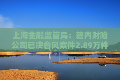 上海金融监管局：辖内财险公司已决台风案件2.89万件 已决赔款1.15亿元