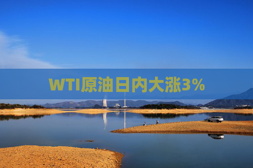 WTI原油日内大涨3%  第1张