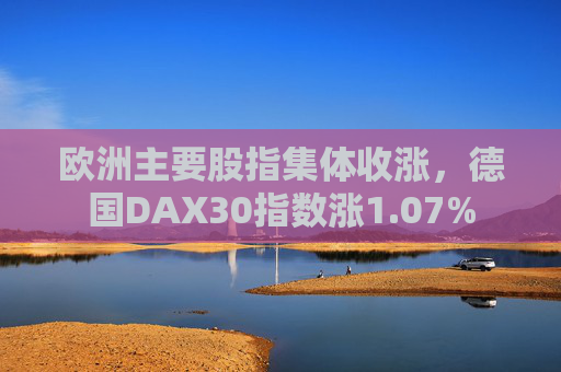 欧洲主要股指集体收涨，德国DAX30指数涨1.07%  第1张