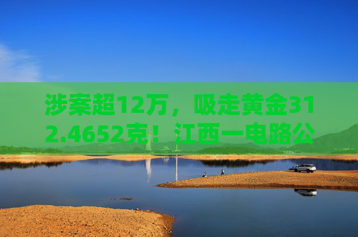 涉案超12万，吸走黄金312.4652克！江西一电路公司员工获刑