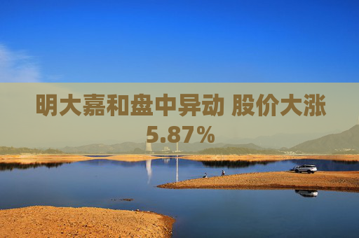 明大嘉和盘中异动 股价大涨5.87%  第1张