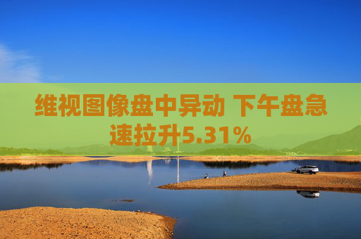 维视图像盘中异动 下午盘急速拉升5.31%