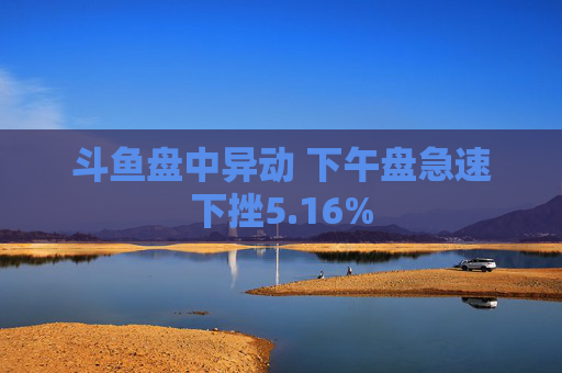 斗鱼盘中异动 下午盘急速下挫5.16%  第1张