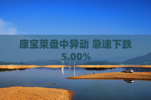 康宝莱盘中异动 急速下跌5.00%  第1张