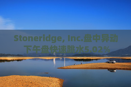 Stoneridge, Inc.盘中异动 下午盘快速跳水5.02%