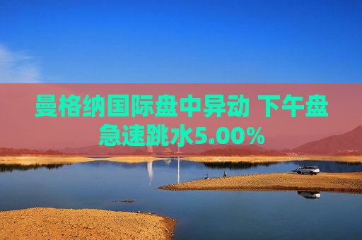 曼格纳国际盘中异动 下午盘急速跳水5.00%  第1张