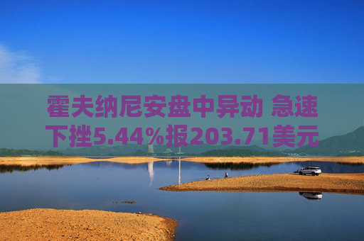 霍夫纳尼安盘中异动 急速下挫5.44%报203.71美元  第1张