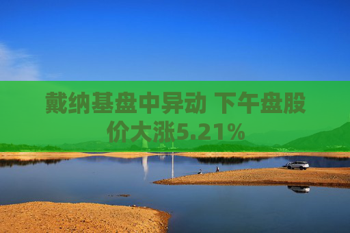 戴纳基盘中异动 下午盘股价大涨5.21%  第1张