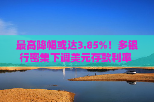 最高降幅或达3.85%！多银行密集下调美元存款利率 业内坦言相关理财产品收益承压  第1张