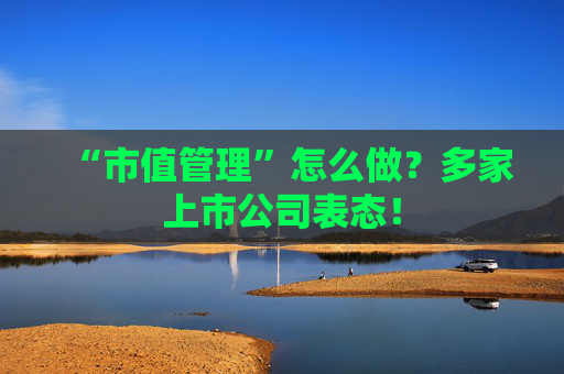 “市值管理”怎么做？多家上市公司表态！