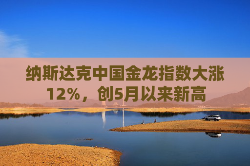 纳斯达克中国金龙指数大涨12%，创5月以来新高