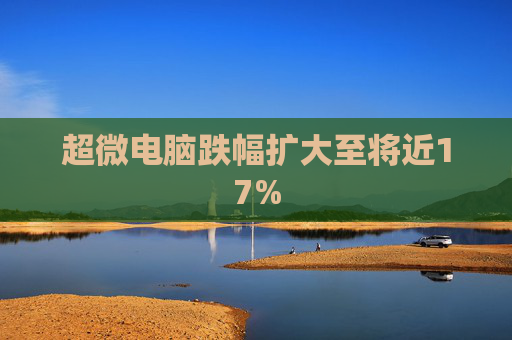 超微电脑跌幅扩大至将近17%  第1张