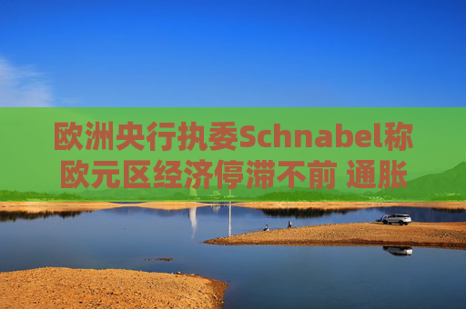 欧洲央行执委Schnabel称欧元区经济停滞不前 通胀处于下行轨道  第1张