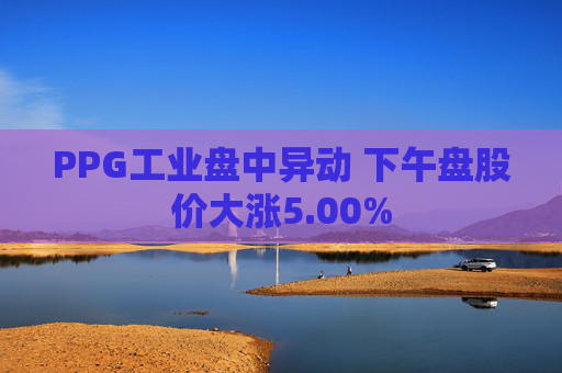 PPG工业盘中异动 下午盘股价大涨5.00%