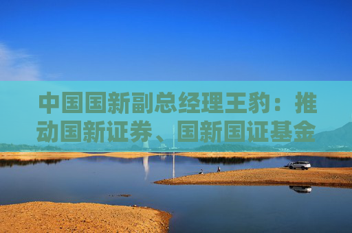 中国国新副总经理王豹：推动国新证券、国新国证基金打造公募REITs上市平台  第1张