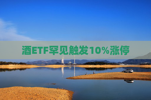 酒ETF罕见触发10%涨停  第1张