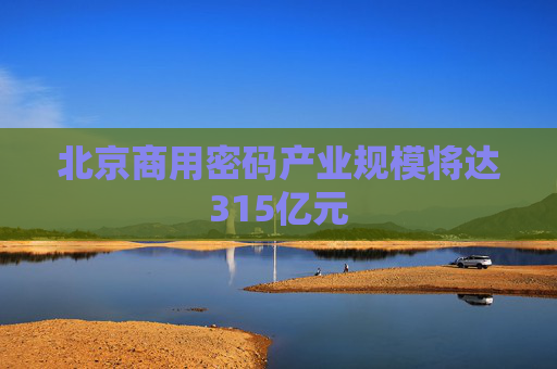 北京商用密码产业规模将达315亿元  第1张