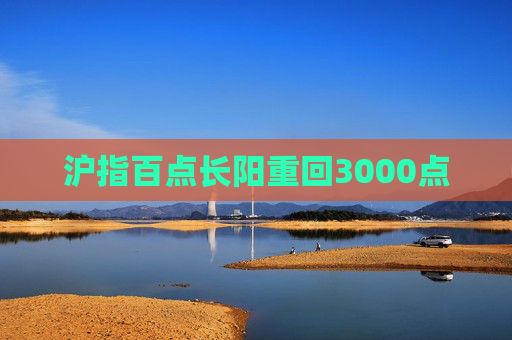 沪指百点长阳重回3000点