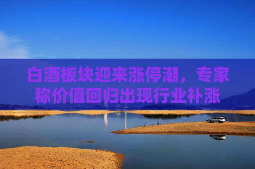 白酒板块迎来涨停潮，专家称价值回归出现行业补涨  第1张