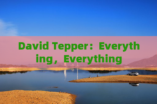 David Tepper：Everything，Everything  第1张