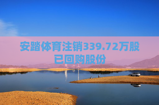 安踏体育注销339.72万股已回购股份  第1张