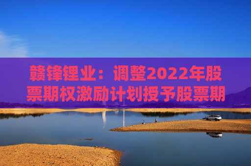 赣锋锂业：调整2022年股票期权激励计划授予股票期权行权数量  第1张