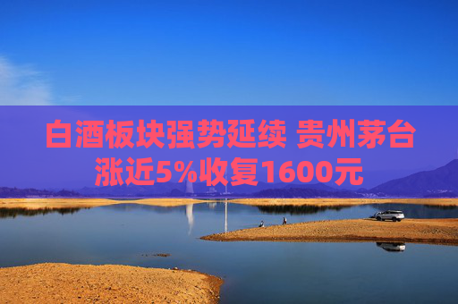 白酒板块强势延续 贵州茅台涨近5%收复1600元  第1张