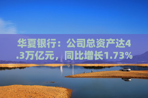 华夏银行：公司总资产达4.3万亿元，同比增长1.73%  第1张