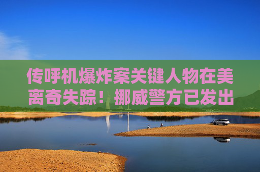 传呼机爆炸案关键人物在美离奇失踪！挪威警方已发出国际通缉令  第1张