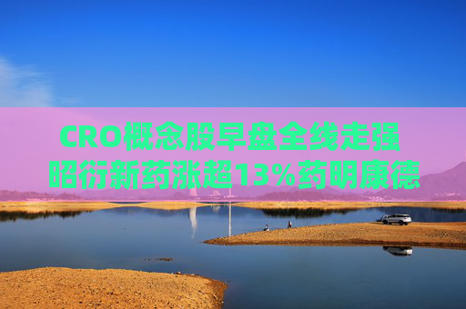 CRO概念股早盘全线走强 昭衍新药涨超13%药明康德涨超12%