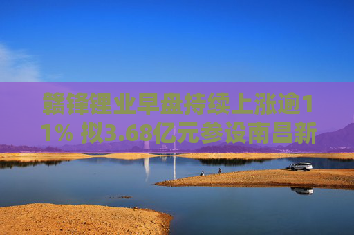 赣锋锂业早盘持续上涨逾11% 拟3.68亿元参设南昌新能源基金  第1张