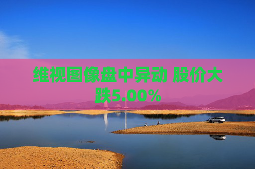 维视图像盘中异动 股价大跌5.00%