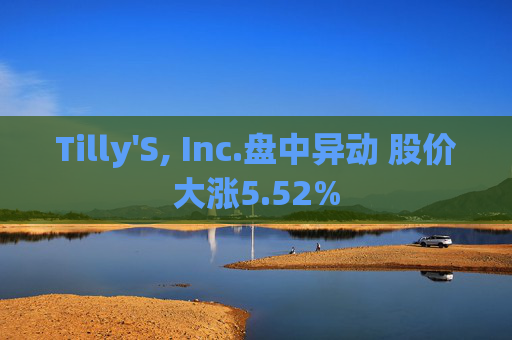 Tilly'S, Inc.盘中异动 股价大涨5.52%