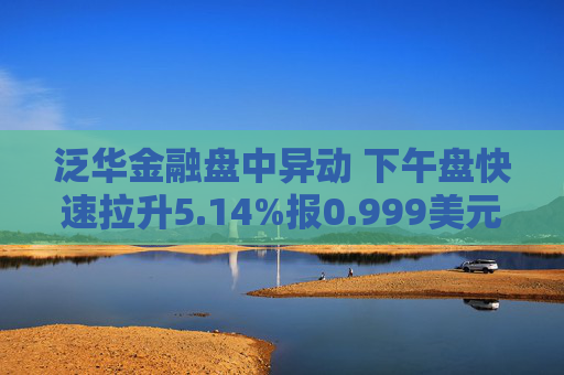 泛华金融盘中异动 下午盘快速拉升5.14%报0.999美元