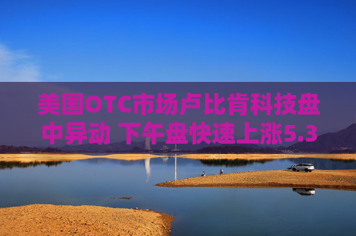 美国OTC市场卢比肯科技盘中异动 下午盘快速上涨5.30%报1.39美元  第1张